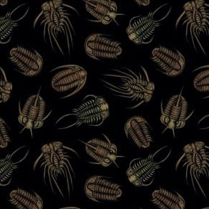 Trilobites - Marine Fossil Pattern