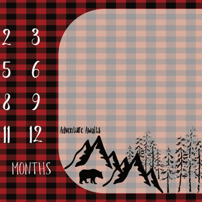 54"x36" buffalo plaid milestone blanket