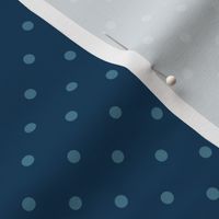 Polka dots - coordinate for winter holiday