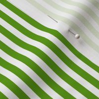 Watermelon Stripe|Green and White|Renee Davis