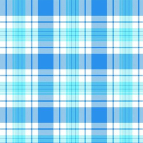 Blue Tartan Plaid |Renee Davis