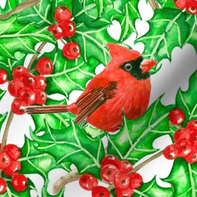 Cardinal birds on holly berry branches 2