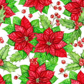 Poinsettia and holly berry on white