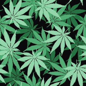 Cannabis, Hemp, or Marihuana leaves