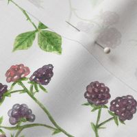Blackberry watercolor pattern