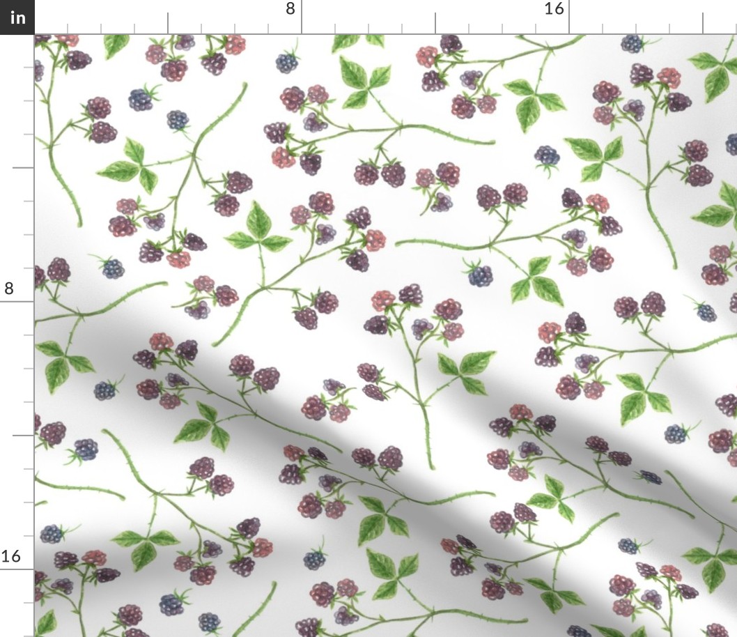 Blackberry watercolor pattern