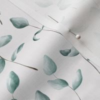 Eucalyptus / Trendy Leaf