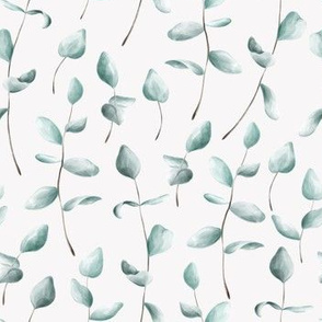 Eucalyptus / Trendy Leaf