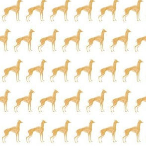italian greyhound tan with 19 oil brush