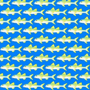 Yellow Goatfish on sea blue