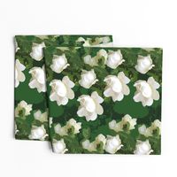 White Rose Multiple Dark Green