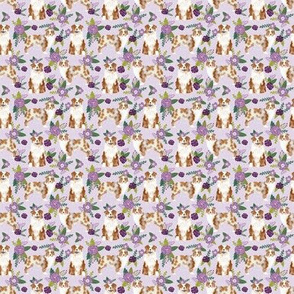 TINY - australian shepherd red merle pet quilt c coordinate floral dog fabric 