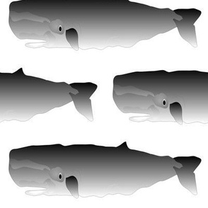 Sperm Whale