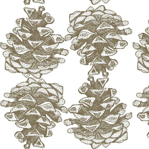 Large Pinecones in Brown