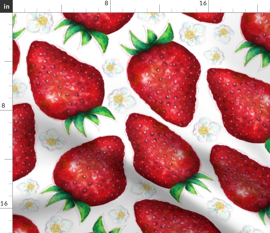 LHStrawberries