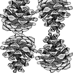 Medium Black & White Pinecones