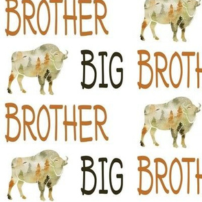 buffalo big brother