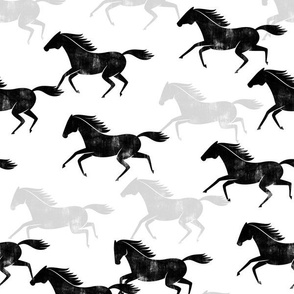 wild horses - black, grey, white - LAD19
