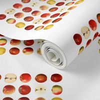 Yummy apples tea towel