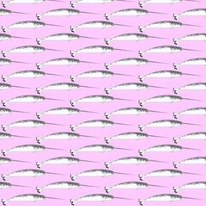 Narwhal on pink purple