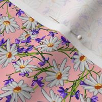 Ditsy Daisies + Violets | Pink
