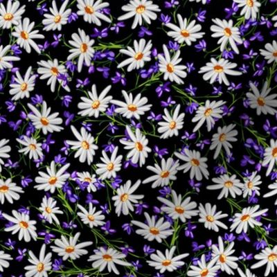 Ditsy Daisies + Violets | Black