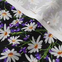 Ditsy Daisies + Violets | Black