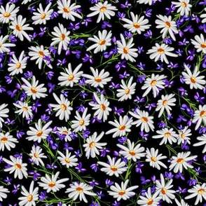 Ditsy Daisies + Violets | Black