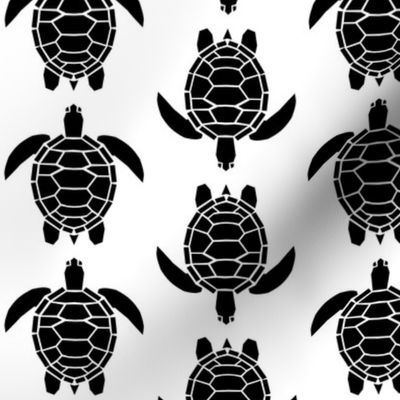 Three Inch Black Turtles on White