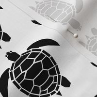 Three Inch Black Turtles on White