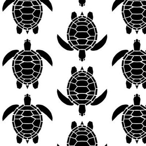 Three Inch Black Turtles on White