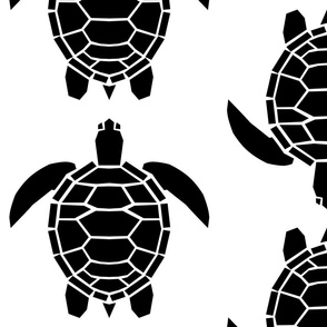 Jumbo Black Turtles on White