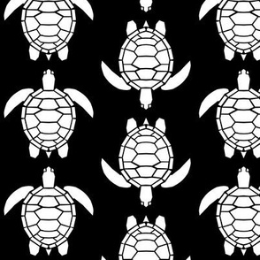 Three Inch White Turtles on Black