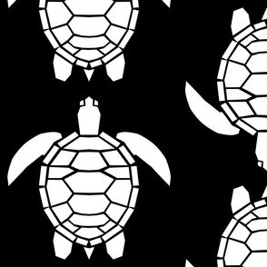 Jumbo White Turtles on Black