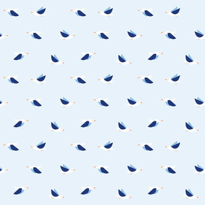 Seagulls in light blue