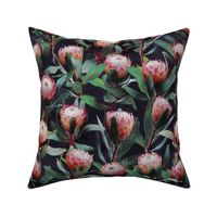 Evening Proteas - Pink on Charcoal - small print