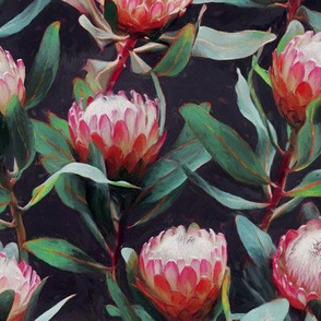 Evening Proteas - Pink on Charcoal - small print