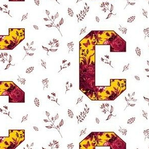 C is for Central Michigan