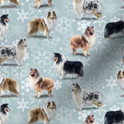 The Rough Collie Christmas