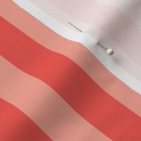 Vertical Red And Pink Stripes