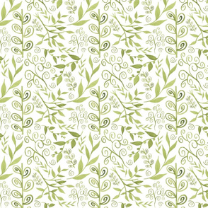 Olive Leaves on White