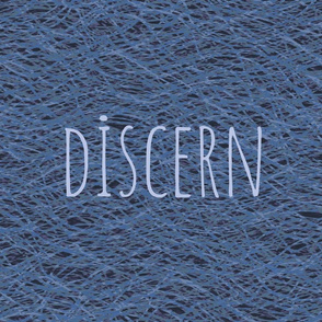 discern_navy_blue