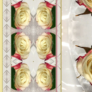 cream roses in ice white striped kaleidoscope large size