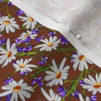 Ditsy  Daisies + Violets | Brown