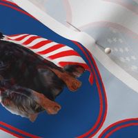 Gordon setter and flag