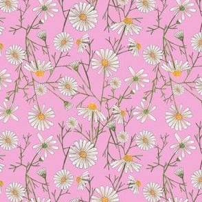 Chamomile Seamless Pattern - Pink