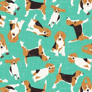 beagle scatter biscay green