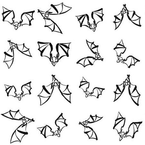 Bats on white