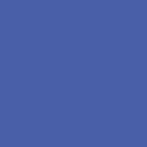 medium blue color solid coordinate blender periwinkle cornflower