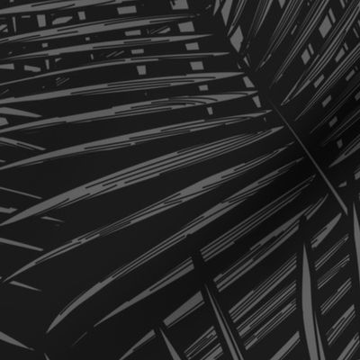 Black and White Palm Fronds